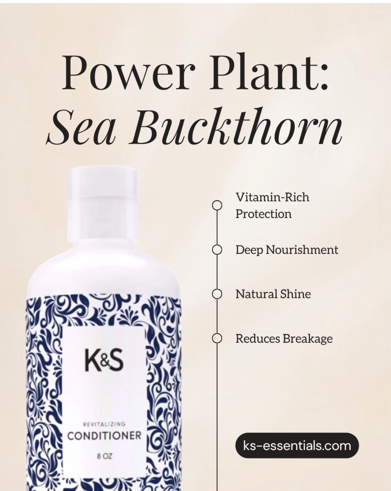 Revitalizing  Conditioner