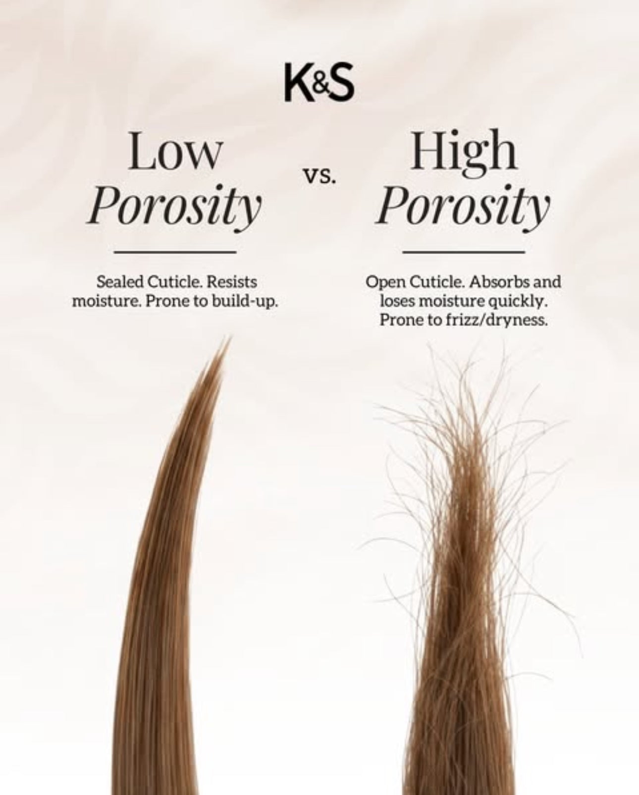 Revitalizing Shampoo